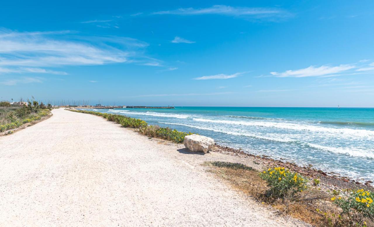 Amplio Canet كانيت ذي بيرينغير المظهر الخارجي الصورة