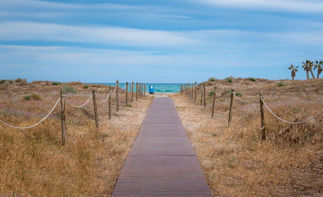 Amplio Canet كانيت ذي بيرينغير المظهر الخارجي الصورة