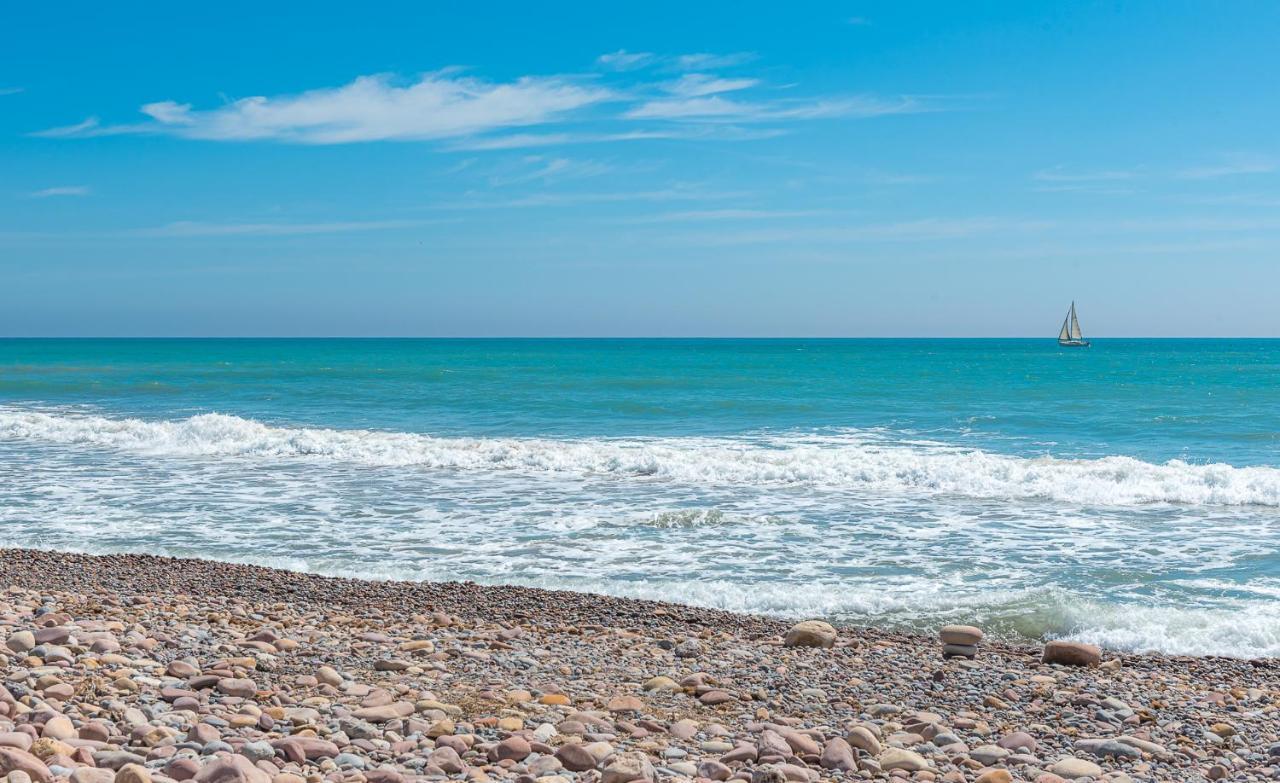 Amplio Canet كانيت ذي بيرينغير المظهر الخارجي الصورة